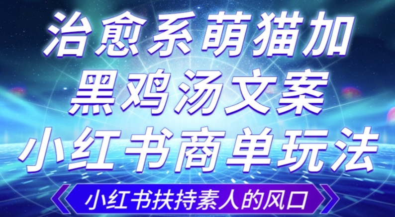 治愈系萌猫加+黑鸡汤文案，小红书商单玩法，3~10天涨到1000粉，一单200左右_泡桐学堂