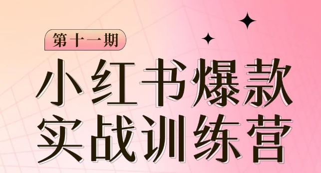 小红书博主爆款训练营第11期，手把手教你从0-1做小红书，从定位到起号到变现_泡桐学堂