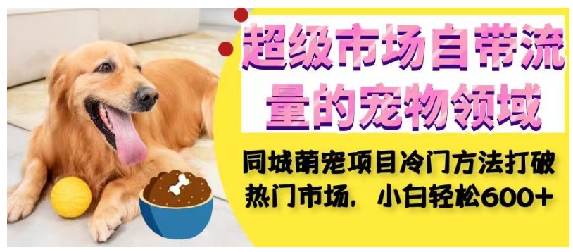 超级市场自带流量的宠物领域，同城萌宠项目冷门方法打破热门市场，小白轻松600+_泡桐学堂