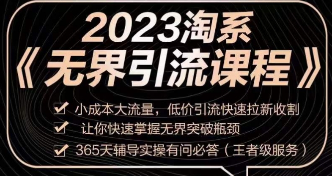 2023淘系无界引流实操课程，​小成本大流量，低价引流快速拉新收割，让你快速掌握无界突破瓶颈_泡桐学堂
