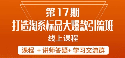 南掌柜-第17期打造淘系标品大爆款，5天线上课_泡桐学堂