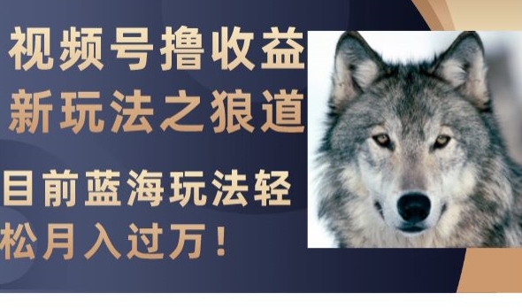 视频号撸收益新玩法之狼道，目前蓝海玩法，轻松月入过万【揭秘】_泡桐学堂