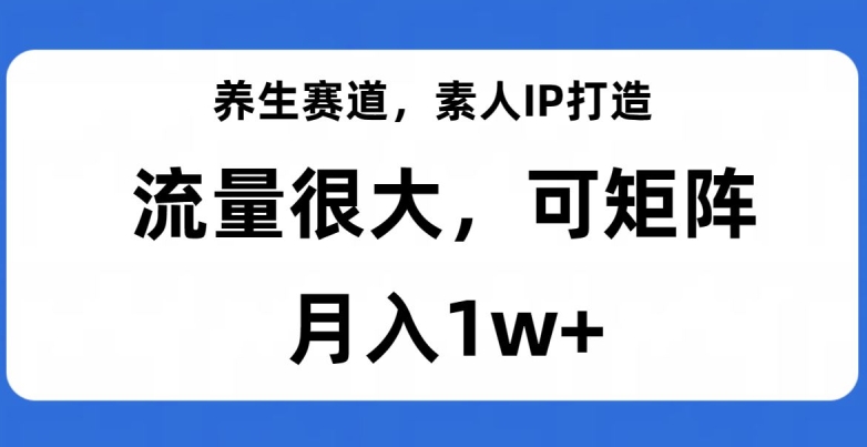 养生赛道，素人IP打造，流量很大，可矩阵，月入1w+【揭秘】_泡桐学堂