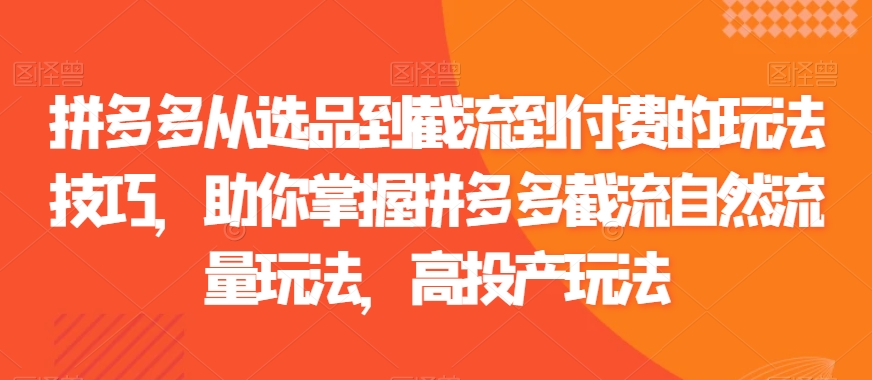 拼多多从选品到截流到付费的玩法技巧，助你掌握拼多多截流自然流量玩法，高投产玩法_泡桐学堂