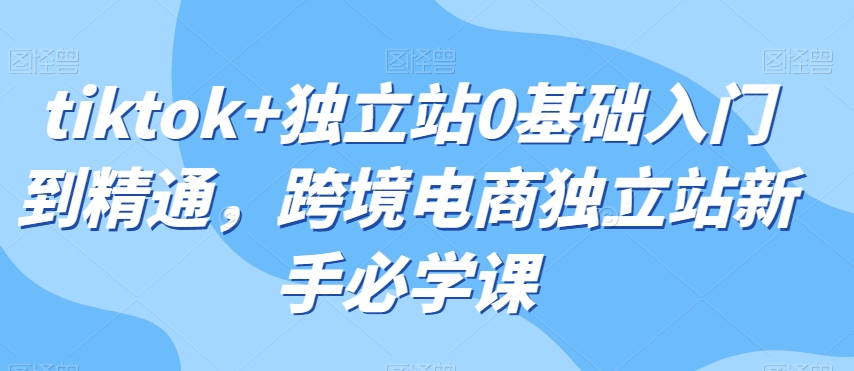 tiktok+独立站0基础入门到精通，跨境电商独立站新手必学课_泡桐学堂
