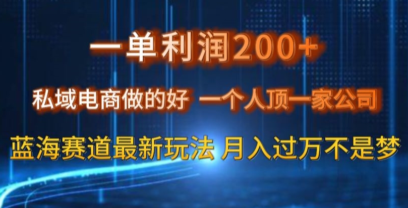 一单利润200私域电商做的好，一个人顶一家公司蓝海赛道最新玩法【揭秘】_泡桐学堂