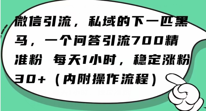 怎么搞精准创业粉？微信新赛道，每天一小时，利用Ai一个问答日引100精准粉_泡桐学堂