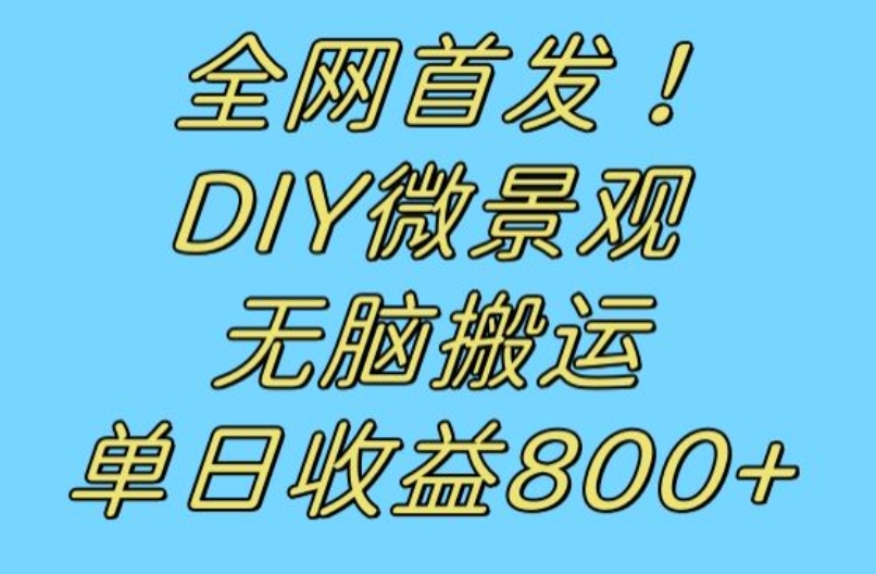 全网首发冷门赛道！DIY微景观，无脑搬运视频，日收益800+【揭秘】_泡桐学堂