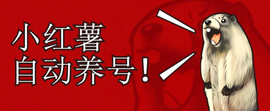小红书养号秘籍，如何自动涨粉清晰系统标签打造高权重账号【揭秘】_泡桐学堂