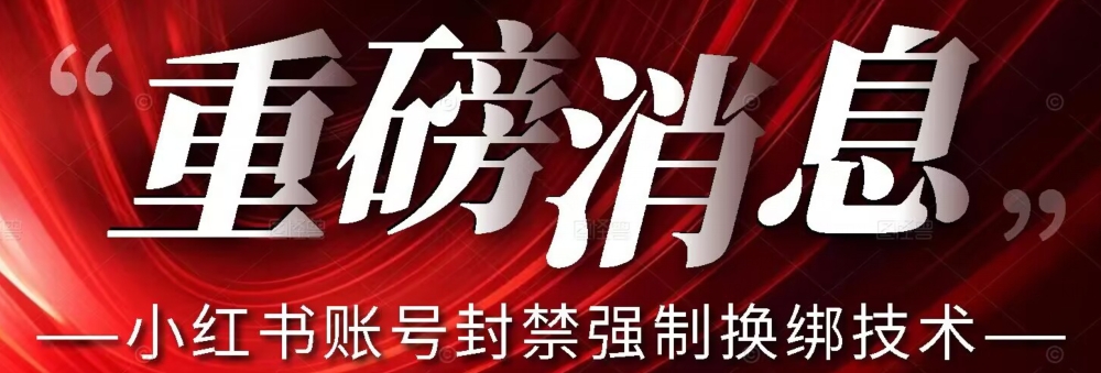 【最新】小红书账号封禁强制换绑技术可日赚300_泡桐学堂