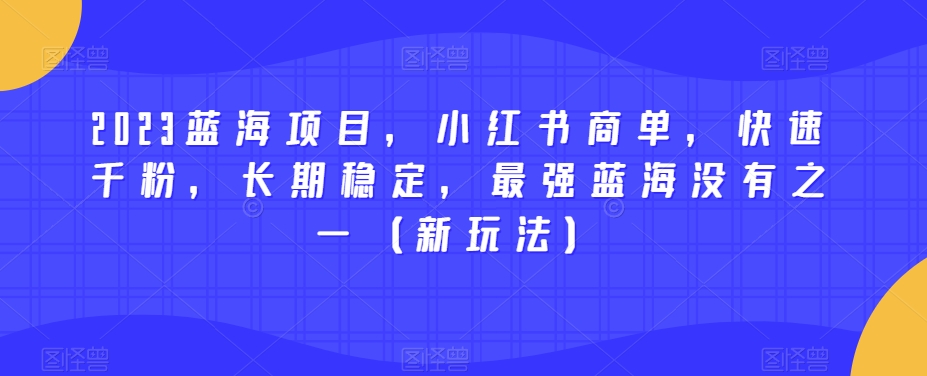 2023蓝海项目，小红书商单，快速千粉，长期稳定，最强蓝海没有之一（新玩法）_泡桐学堂