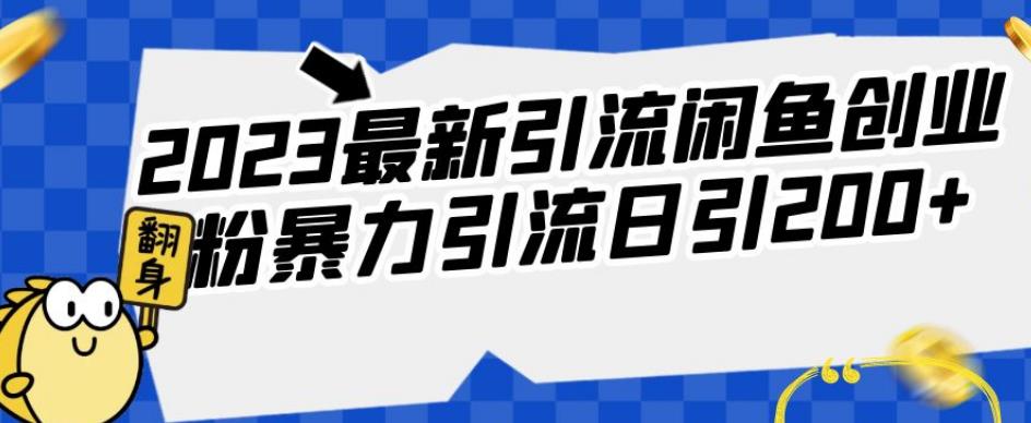 2023最新引流闲鱼创业粉暴力引流日引200+【揭秘】_泡桐学堂