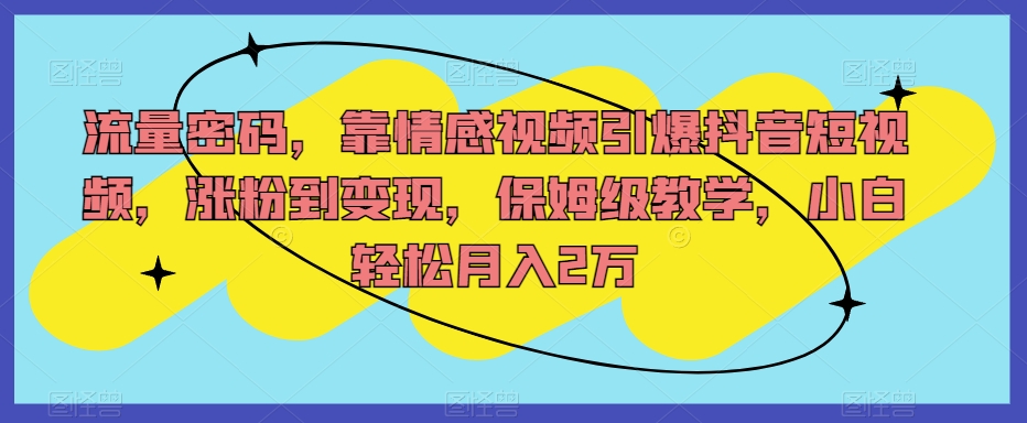 流量密码，靠情感视频引爆抖音短视频，涨粉到变现，保姆级教学，小白轻松月入2万【揭秘】_泡桐学堂