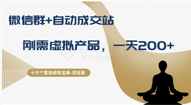 十万个富翁修炼宝典之8.微信群+自动成交站，刚需虚拟产品，一天200+_泡桐学堂