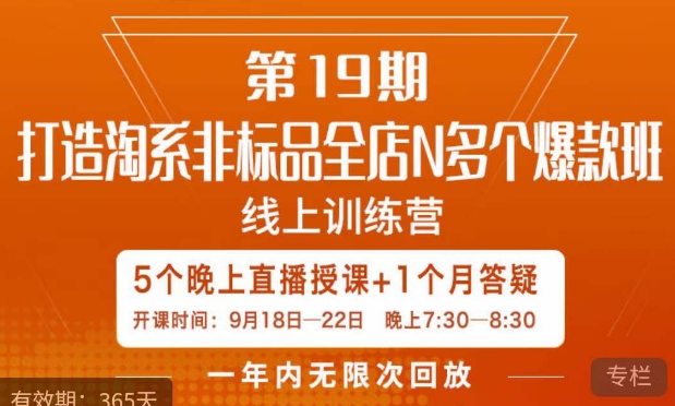 打造淘系非标全店N多个爆款线上课，​5天直播课_泡桐学堂