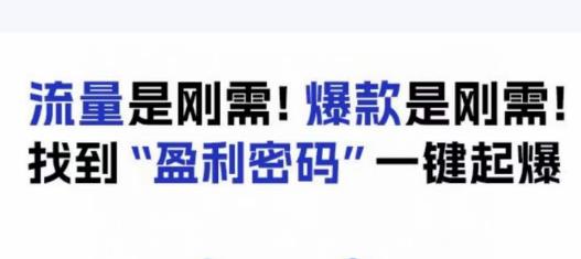 电商盈利精品课：6大盈利密码让产品更好卖，流量是刚需！爆款是刚需！找到”盈利密码”一键起爆_泡桐学堂