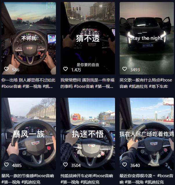 抖音开车视频项目，0基础操作，每天五分钟，月入1W+【揭秘】_泡桐学堂