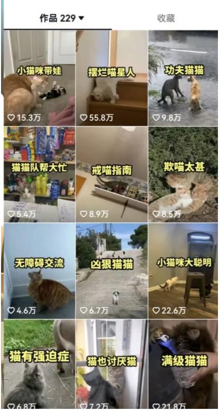 拆解：抖音盘点类中视频变现副业项目，视频版一条龙大解析分享给你_泡桐学堂