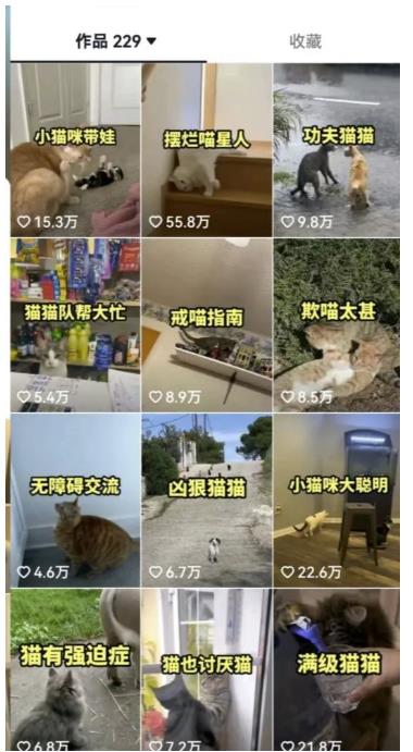 拆解抖音盘点类中视频变现副业项目，视频版一条龙大解析分享给你【视频课程】_泡桐学堂