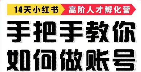 手把手教做小红书帐号，一篇笔记涨粉10000，月入十万的博主秘笈_泡桐学堂
