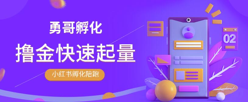 勇哥·小红书撸金快速起量陪跑孵化营，教你在小红书平台实现副业的睡后收入_泡桐学堂