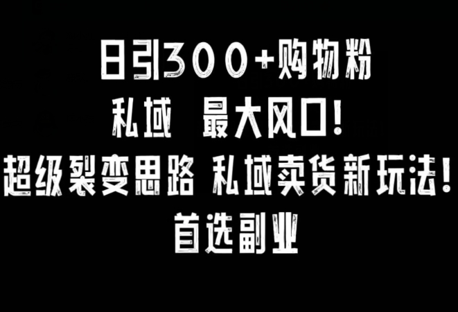日引300+购物粉，超级裂变思路，私域卖货新玩法，小红书首选副业【揭秘】_泡桐学堂