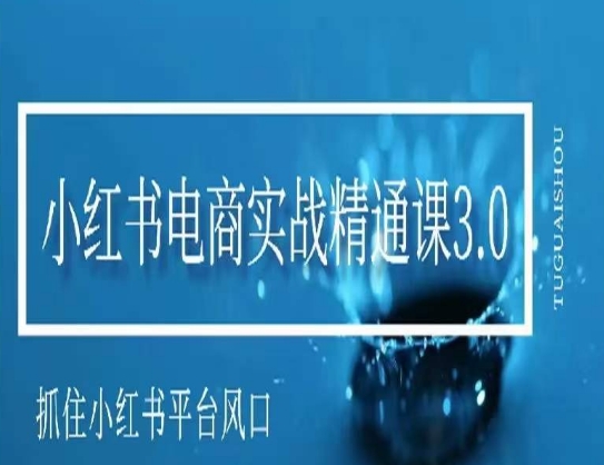 小红书电商实战精通课3.0，抓住小红书平台的风口，不错过有一个赚钱的机会_泡桐学堂