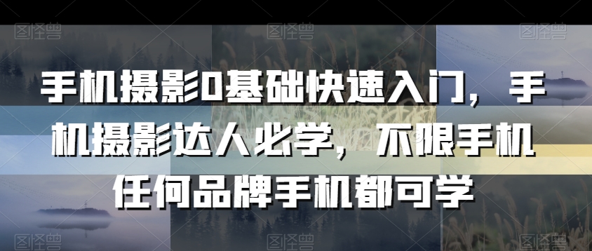 手机摄影0基础快速入门，手机摄影达人必学，不限手机任何品牌手机都可学_泡桐学堂