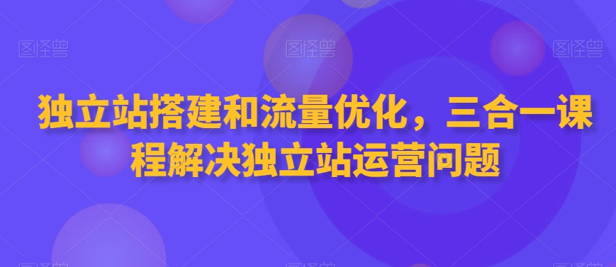 独立站搭建和流量优化，三合一课程解决独立站运营问题_泡桐学堂
