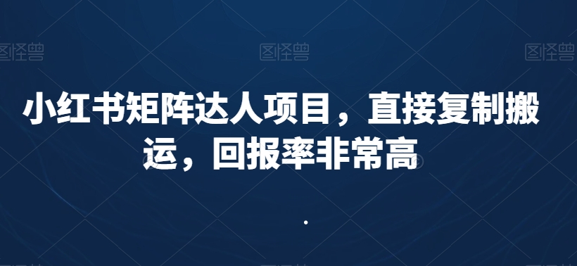 小红书矩阵达人项目，直接复制搬运，回报率非常高_泡桐学堂