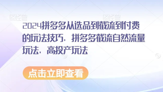 2024拼多多从选品到截流到付费的玩法技巧，拼多多截流自然流量玩法，高投产玩法_泡桐学堂