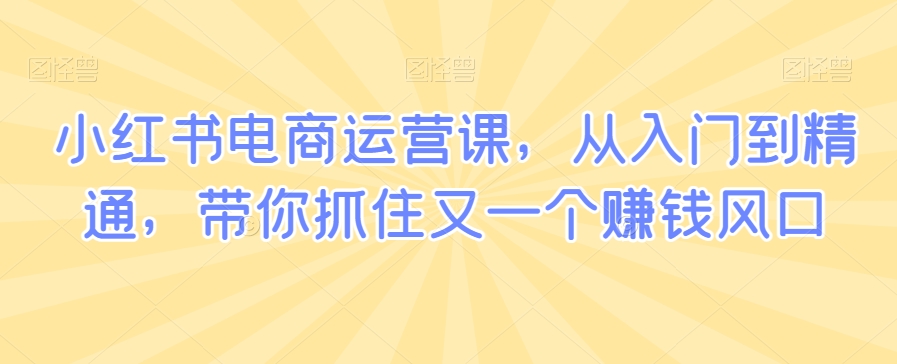 小红书电商运营课，从入门到精通，带你抓住又一个赚钱风口_泡桐学堂