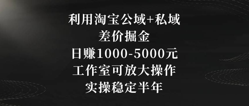 利用淘宝公域+私域差价掘金，日赚1000-5000元，工作室可放大操作，实操稳定半年【揭秘】_泡桐学堂