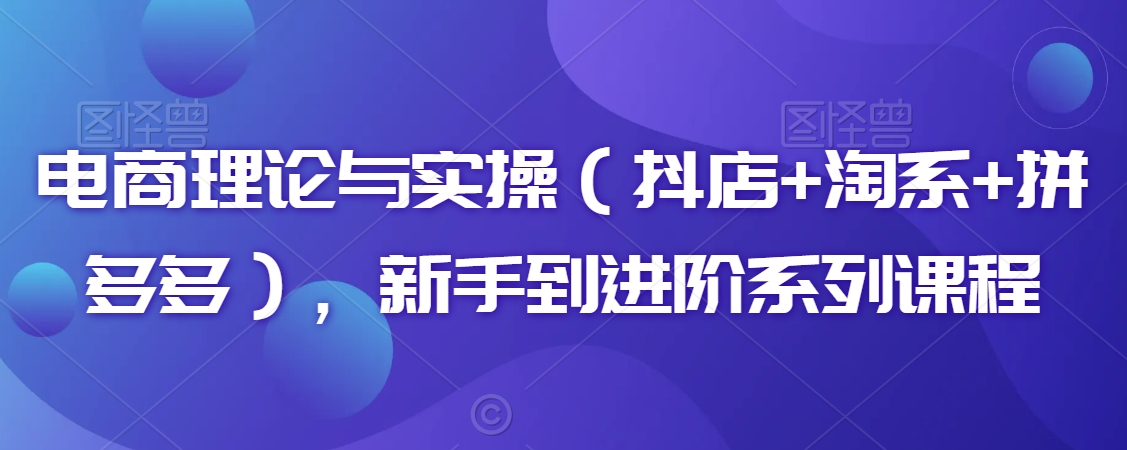 电商理论与实操（抖店+淘系+拼多多），新手到进阶系列课程_泡桐学堂