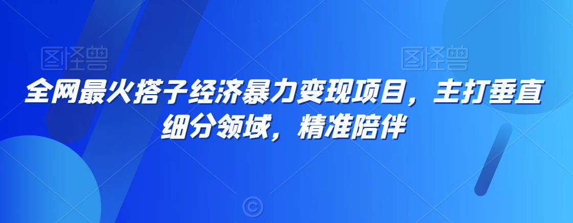 全网最火搭子经济暴力变现项目，主打垂直细分领域，精准陪伴【揭秘】_泡桐学堂