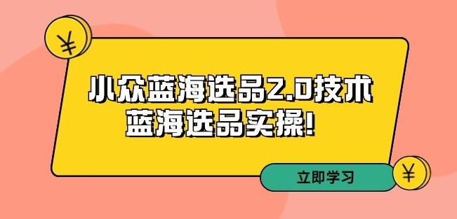 拼多多培训第33期：小众蓝海选品2.0技术-蓝海选品实操！_泡桐学堂