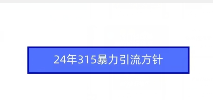 24年315暴力引流方针_泡桐学堂