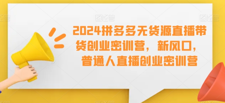 2024拼多多无货源直播带货创业密训营，新风口，普通人直播创业密训营_泡桐学堂