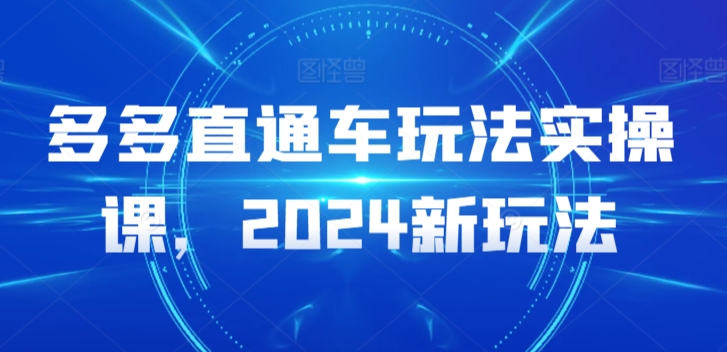 多多直通车玩法实操课，2024新玩法_泡桐学堂