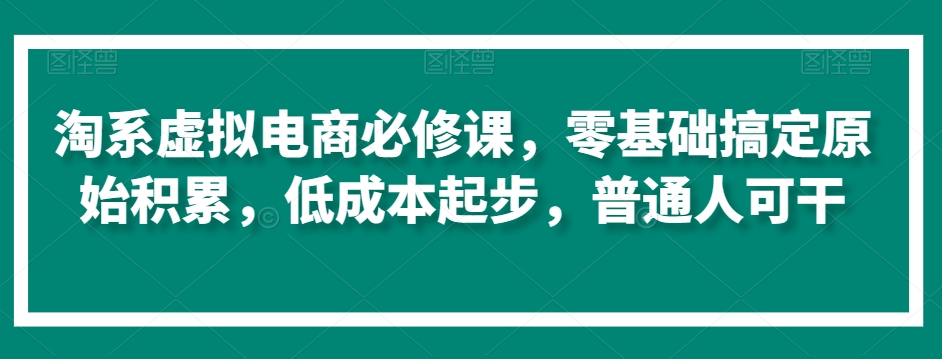 淘系虚拟电商必修课，零基础搞定原始积累，低成本起步，普通人可干_泡桐学堂