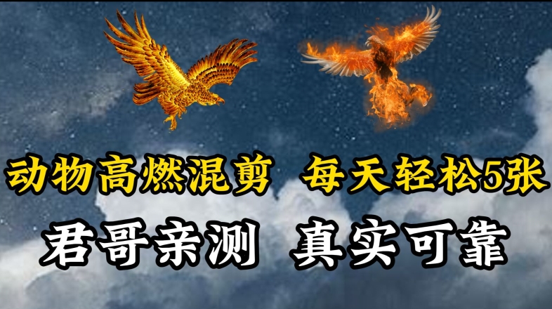 动物超燃混剪，每天轻松5张，剪辑简单大家爱看【揭秘】_泡桐学堂