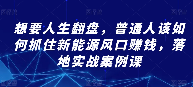 想要人生翻盘，普通人该如何抓住新能源风口赚钱，落地实战案例课_泡桐学堂