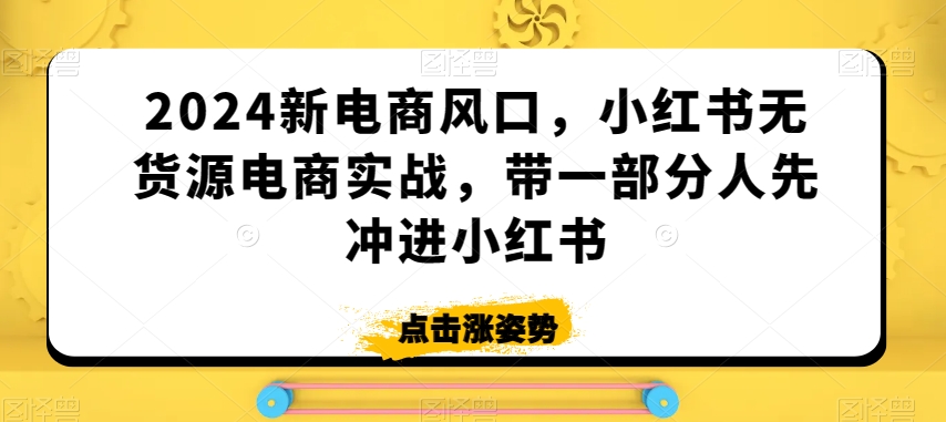 2024新电商风口，小红书无货源电商实战，带一部分人先冲进小红书_泡桐学堂