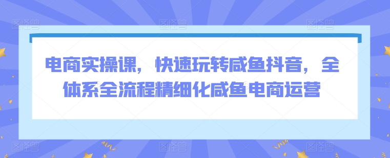 电商实操课，快速玩转咸鱼抖音，全体系全流程精细化咸鱼电商运营_泡桐学堂