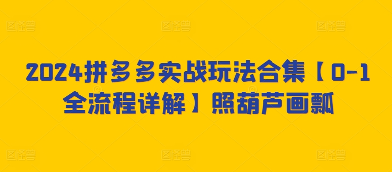 2024拼多多实战玩法合集【0-1全流程详解】照葫芦画瓢_泡桐学堂