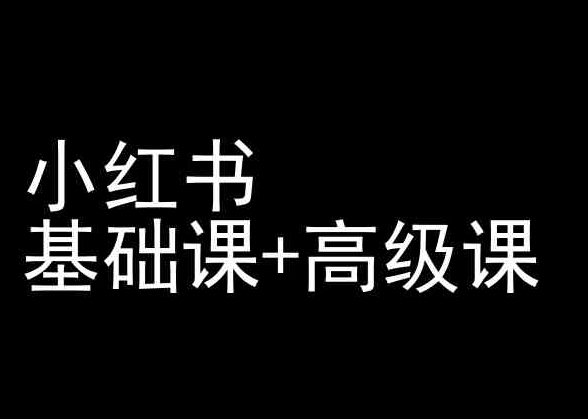 小红书基础课+高级课-小红书运营教程_泡桐学堂