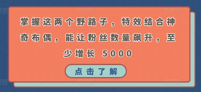 掌握这两个野路子，特效结合神奇布偶，能让粉丝数量飙升，至少增长 5000【揭秘】_泡桐学堂
