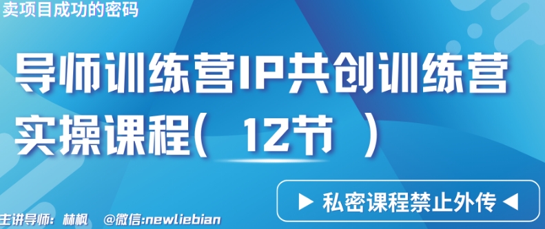 导师训练营3.0IP共创训练营私密实操课程（12节）-卖项目的密码成功秘诀【揭秘】_泡桐学堂