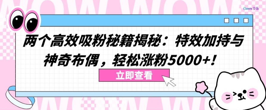 两个高效吸粉秘籍揭秘：特效加持与神奇布偶，轻松涨粉5000+【揭秘】_泡桐学堂