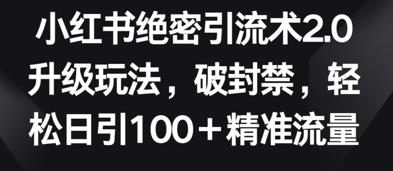 小红书绝密引流术2.0升级玩法，破封禁，轻松日引100+精准流量【揭秘】_泡桐学堂